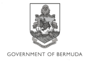 BermudaGov_grey